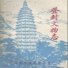 登封文物志 1983版 PDF电子版