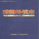 宜昌市夷陵区鸦雀岭镇志 1840-2005      PDF电子版