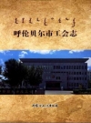 呼伦贝尔市工会志_2017版_PDF电子版