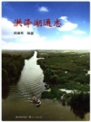 洪泽湖通志 2012版 PDF电子版下载