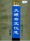 大理市文化志               1996年版              PDF电子版下载