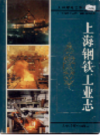 上海钢铁工业志                   2001年版                     PDF电子版下载