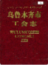 乌鲁木齐市工会志 (新疆乌鲁木齐市地方志) 2000年版 PDF电子版下载