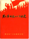黄石发电厂工人运动史       （黄石市地方志）               1991年版                PDF电子版下载     