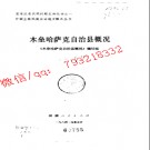 木垒哈萨克自治县概况.pdf下载