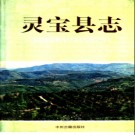 河南省灵宝县志.pdf下载