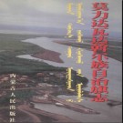 内蒙古莫力达瓦达斡尔族自治旗志.pdf下载