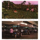 重庆市铜梁县地名录 1986版.PDF电子版下载